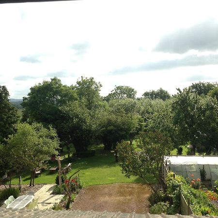 Greenfield Chambres D'Hotes Neufchatel Hardelot Bagian luar foto